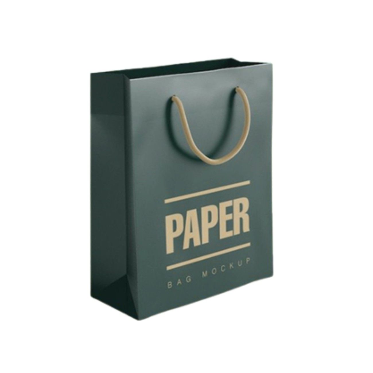 Paper bag